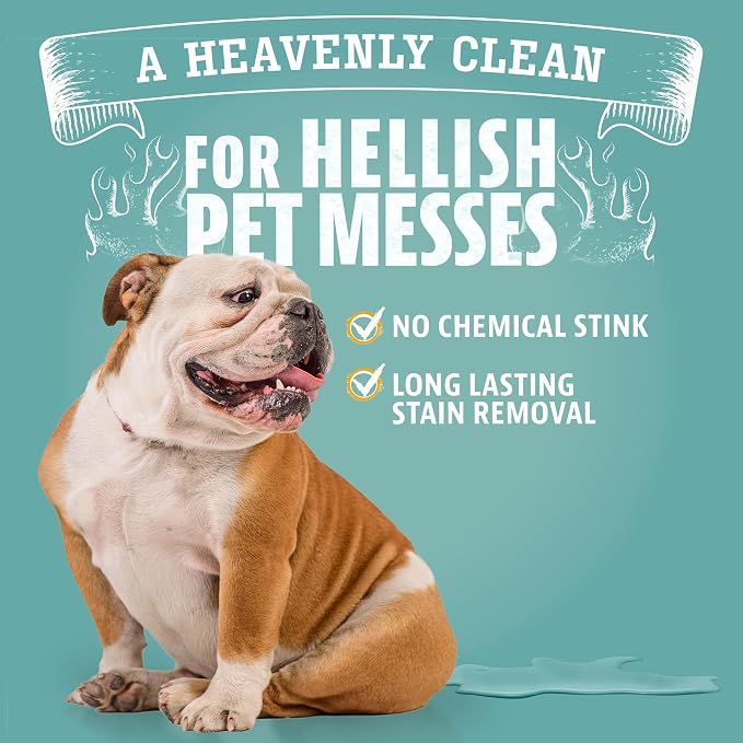 ANGRY ORANGE Stain & Odor Remover - 32oz Pet Urine Enzyme Cleaner - Enzymatic Dog & Cat Pee Destroyer and Odor Eliminator - NEW Orange Rush Scent Cleaning Solution for Home