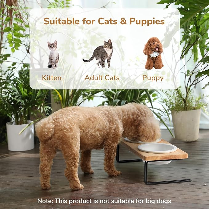 FUKUMARU Elevated Cat Ceramic Bowls, Small Dog Raised Food Feeding Dishes, Solid Wood Water Stand Feeder Set for Cats and Puppy