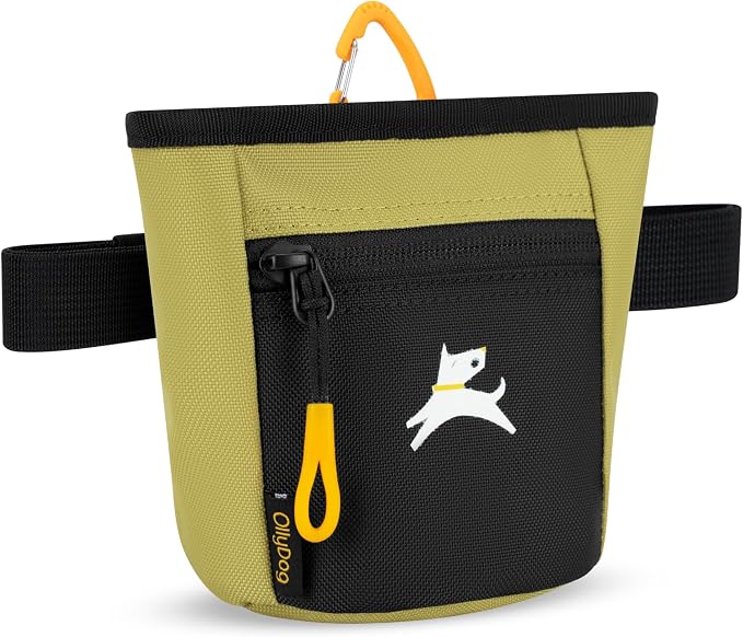 Goodie Treat Bag, Dog Treat Training Pouch | Magnetic Closure | 3 Ways to Wear | Hands-Free Waist Belt | Water-Resistant Recycled Vegan Fabric (Alchemy)