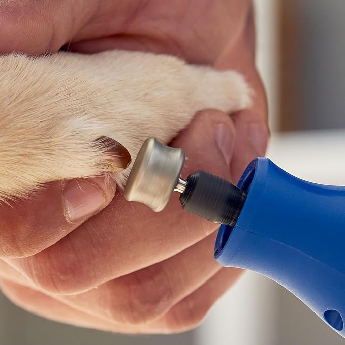 Dremel 416HP Diamond-Coated Rotary Nail Grinder Bit - Ideal for Dog Nail Grooming, Gentle with Precise Control