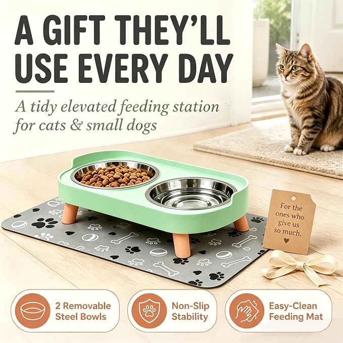 Elevated Dog Bowls with Mat, 2 Stainless Steel for Small Dogs Under 25 Lb | Raised Bowl Stand, Food & Water Set for Cats & Puppies, Splash Proof, Dishwasher Safe, Stain-Resistant Quick-Dry Mat