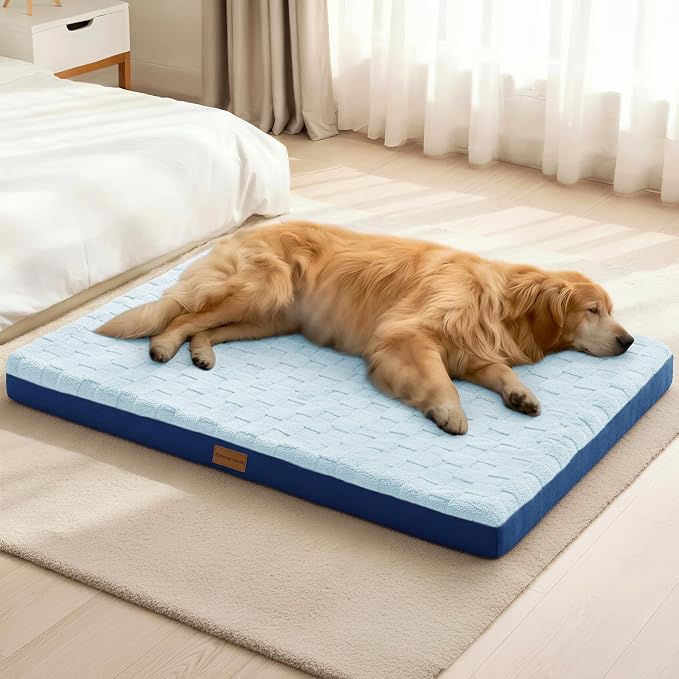 Patas Lague Orthopedic Large Dog Bed Washable Pet Crate Mat 36''X24'' Blue | Egg-Crate Foam Dog Couch For Large Sized Dogs, Waterproof Removable Cover, Soft Pet Bed With Nonskid Bottom