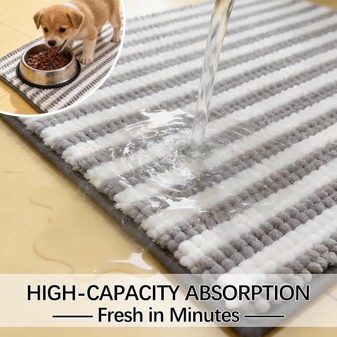 Dog Door Mat for Muddy Paws - Absorbent Quick-Dry Non-Slip Washable Chenille Pet Rug, Indoor Entryway Mat for Front Door & Crate (Gray, 24" L*16" W)