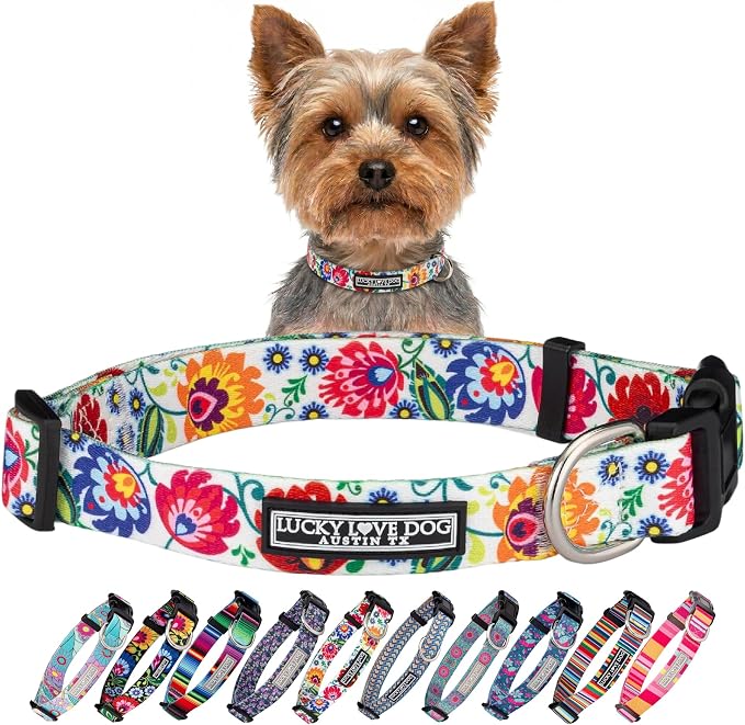 Lucky Love Dog - Adjustable Dog Collar with Easy Click Buckle for Small Ones, Durable, & Comfortable for Male & Female Dogs, Pet Collar for Puppies & Adult Dogs - Ladybird, XS