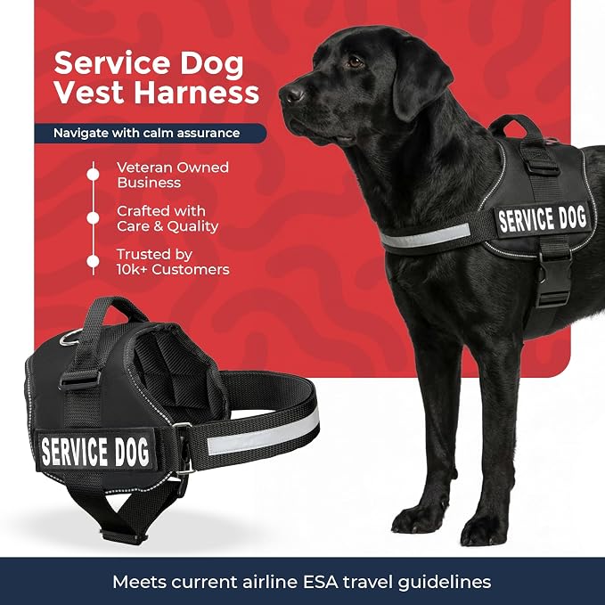 Industrial Puppy Service Dog Vest Harness - Durable & Adjustable Vest for Dog with Reflective Straps, Removable Patches, 50 ADA Cards, Handle & D-Ring, Travel and Daily Use, (Black, Large 27"-33")