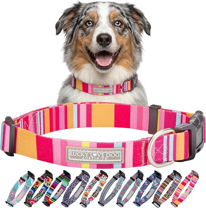 Lucky Love Dog - Adjustable Dog Collar with Easy Click Buckle for Medium, Durable, & Comfortable for Male & Female Dogs, Pet Collar for Puppies & Adult Dogs - Molly, Medium