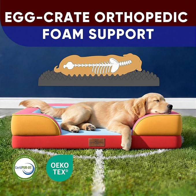 Comfort Expression Orthopedic Dog Bed for Extra Large Dogs with Bolster | Waterproof Dog Couch Bed with Washable Cover & Non-Slip Bottom, Supportive Egg Crate Foam XL Pet Bed, 42x30 Inch