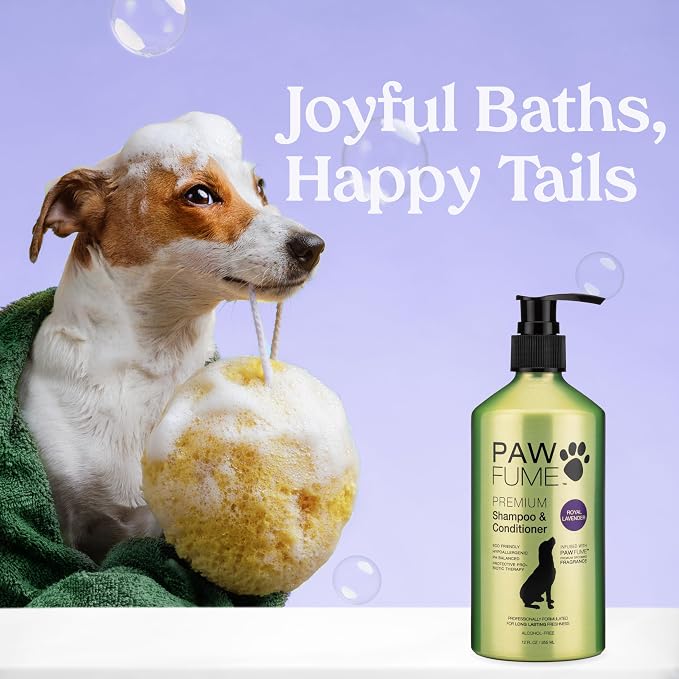 PAWFUME Dog Shedding Shampoo and Conditioner, Royal Lavender, 1-Pack | Probiotic pH-balanced deep-cleaning formula nourishes and detangles silky coats, salon-quality Shedding Shampoo for Dogs