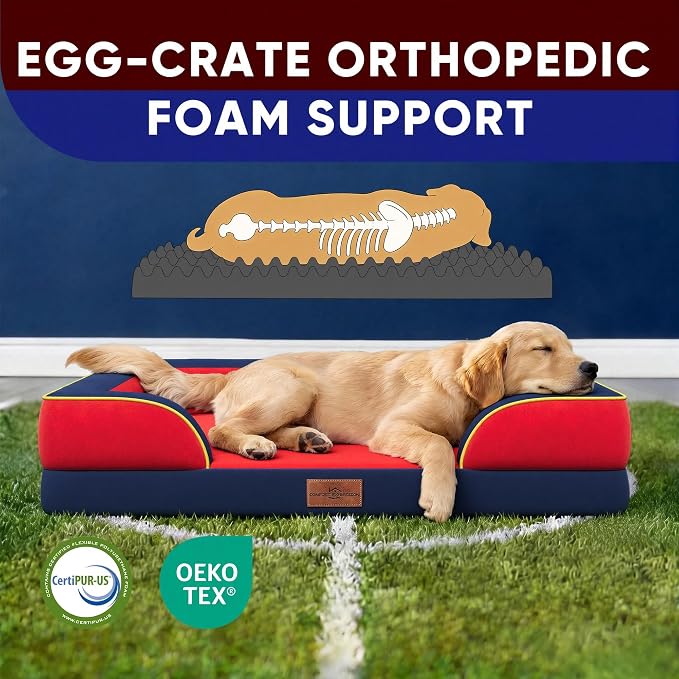Comfort Expression Orthopedic Dog Bed for Extra Large Dogs with Bolster | Waterproof Dog Couch Bed with Washable Cover & Non-Slip Bottom, Supportive Egg Crate Foam XL Pet Bed, 45x35 Inch