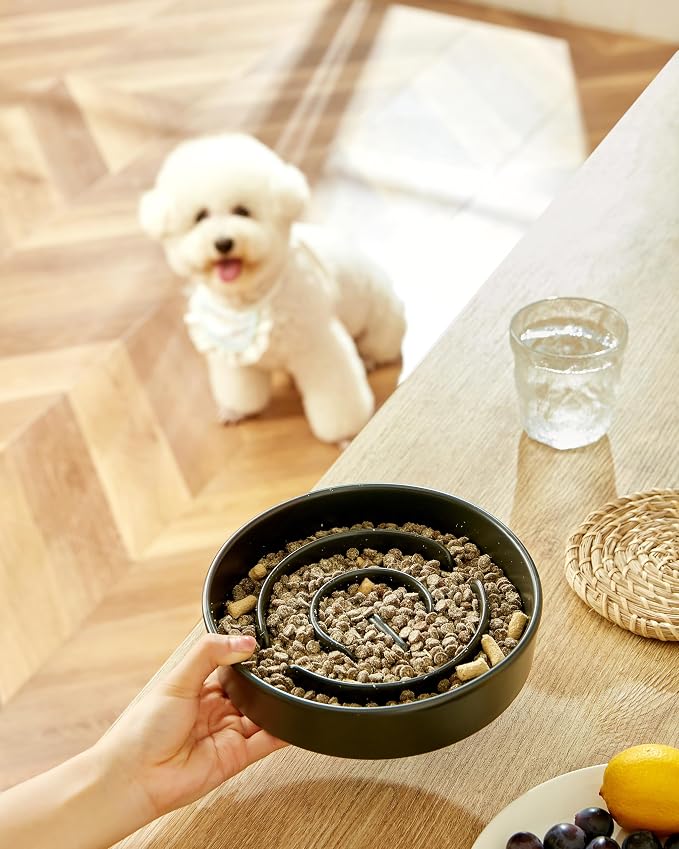 Ceramic Slow Feeder Dog Bowls, 2.0 Cups Slow Feeder for Medium Dogs, Puzzle Maze Bowl to Slow Down Eating, 30oz, 8in, Black