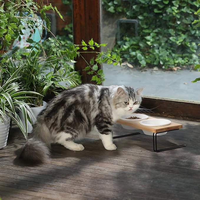FUKUMARU Elevated Cat Ceramic Bowls, Small Dog Raised Food Feeding Dishes, Solid Wood Water Stand Feeder Set for Cats and Puppy