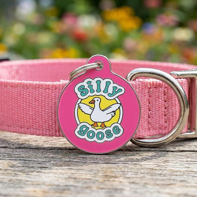 Bad Tags Personalized Dog and Cat ID Tags in 25+ Designs and 2 Sizes - 5 Lines of Custom Engraved Text - Funny Cute Personalized Pet Tags (Silly Goose - Pink, Large (1.25 inch))