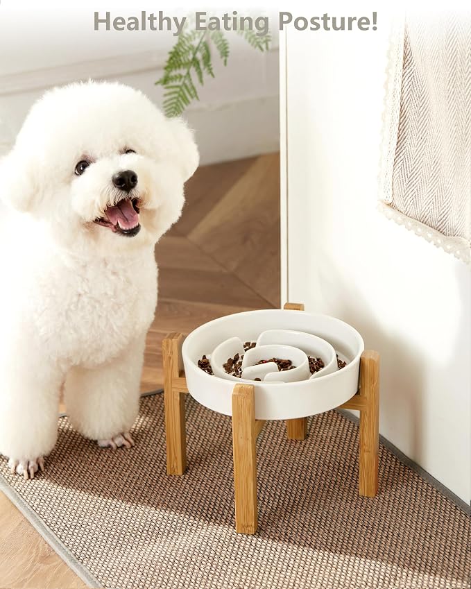 Ceramic Slow Feeder Dog Bowls Elevated, 2.0 Cups Slow Feeder for Medium Dogs, Puzzle Maze Bowl to Slow Down Eating, 30oz, 8in, White