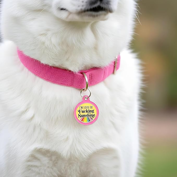 Bad Tags Personalized Dog and Cat ID Tags in 25+ Designs and 2 Sizes - 5 Lines of Custom Engraved Text - Funny Cute Personalized Pet Tags (I'm A Ray of F*cking Sunshine - Pink, Large (1.25 inch))