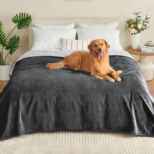 Waterproof Blanket 60"x80" for Adults, Reversible Waterproof Bed Cover for Dogs Cats Pets, Soft Leakproof Blanket for Bed Couch Sofa Furniture Protector, Dark Grey/Light Grey