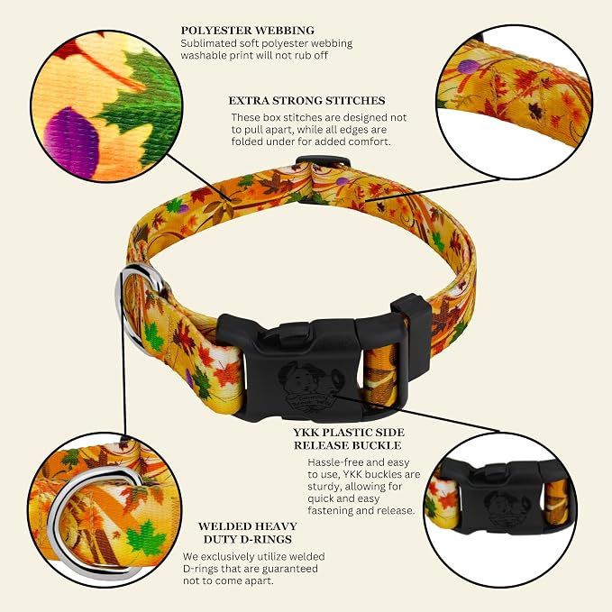 Country Brook Petz - Autumn Wind Everyday Dog Collar - Made in the U.S.A. - Awesome Autumn Collection Featuring Design You Will Fall for (1 Inch, Large)