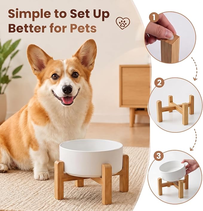 hjn Elevated Ceramic Dog Bowl with Bamboo Stand, Raised Pet Feeding Station for Small Medium Dogs Cats, Modern Design with Anti-Slip Base (White, 3.6Cup)