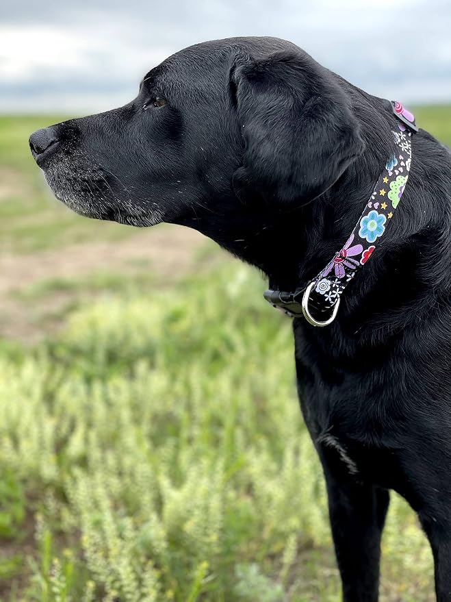 Native Pup Flower Dog Collar, Adjustable Small Medium Large, Cute Girl Female Summer Spring Pretty Designer Puppy Essentials Accessories, Pink Floral Blue Daisy Rose (Medium, Heart Flowers)