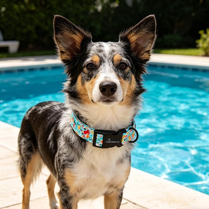 ARING PET Summer Dog Collar, Cute Blue Submarine World Doggy Collars for Puppy Small Medium Large Boy Girl Dogs Pet, for Daily Photos Outdoor Beach Walking Picnic, XS