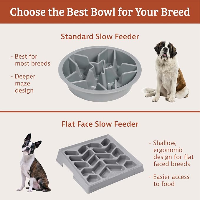 Leash Boss Slow Feeder Dog Bowls (1.5 Cup) Puzzle Dog Food Bowl with Feeder Holes, Fits into Elevated Pet Feeders, Slow Eating for Large, Medium & Small Sized Breeds - Blue