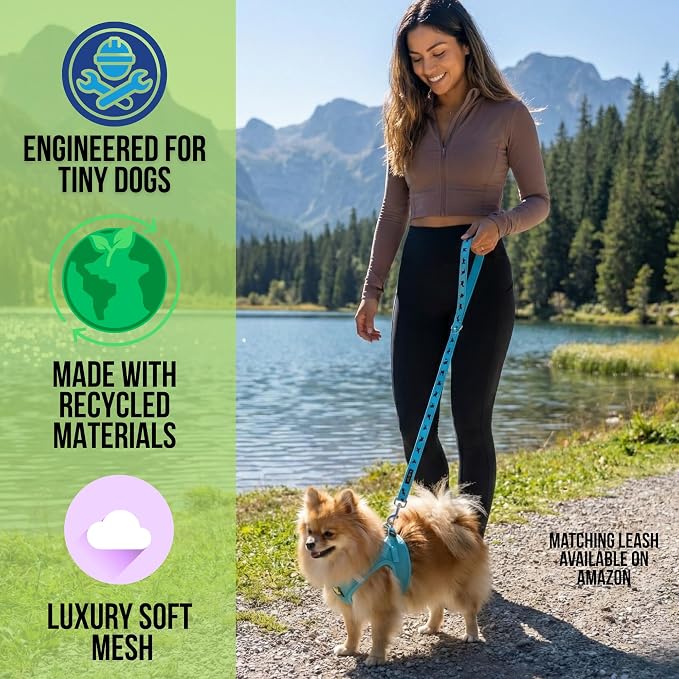 EcoBark Rapid Fastener Super Comfort Fully Adjustable Double Padded Step in Dog Harness (Extra Small, Sky Blue)