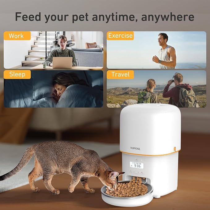 Automatic Cat Feeder, 3L Cat Food Dispenser with Anti-Jam Design, Over 180-day Battery Life, 1-6 Meals Per Day with Stainless Steel Cat Bowl, Keep Dry Food Fresh, Timed Pet Feeder Also for Small Dog