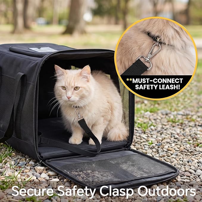 Conlun Cat Carrier Airline Approved, Soft-Sided Dog Carrier with Inner Safety Leash, Pet Transport Carrier for Small-Medium Cats Puppies up to 15 Lbs, Collapsible Travel Kitten Carrier Bag -Gray M