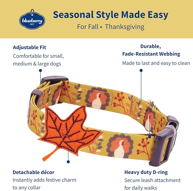 Blueberry Pet Thanksgiving Fall Festival Moonlit Turkey Designer Adjustable Dog Collar with Maple, Small, Neck 12"-16"