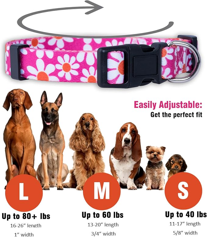 Native Pup Flower Dog Collar, Adjustable Small Medium Large, Cute Girl Female Summer Spring Pretty Designer Puppy Essentials Accessories, Pink Floral Blue Daisy Rose (Medium, Pink Daisy)