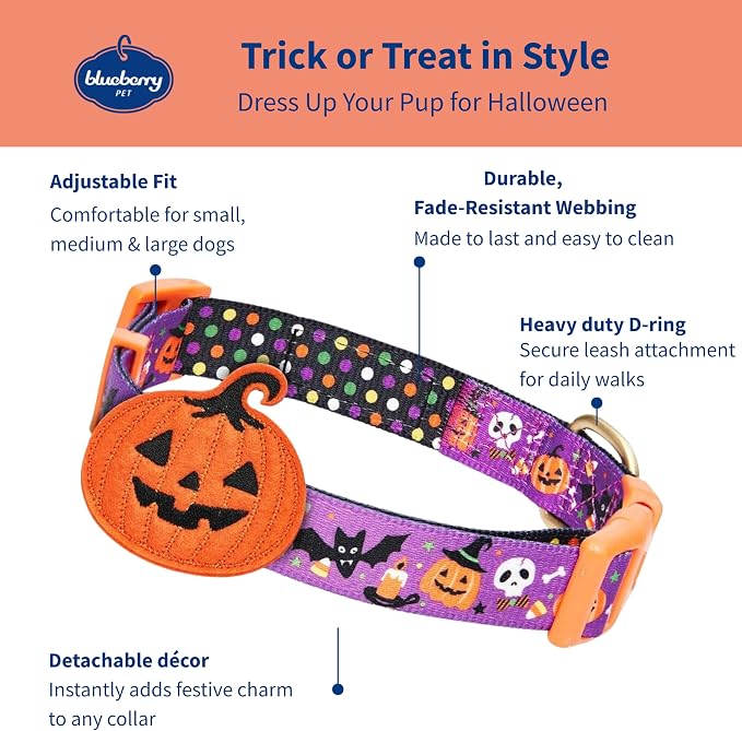 Blueberry Pet Halloween Pumpkin Party Designer Adjustable Dog Collar with Detachable Decoration, Small, Neck 12"-16"