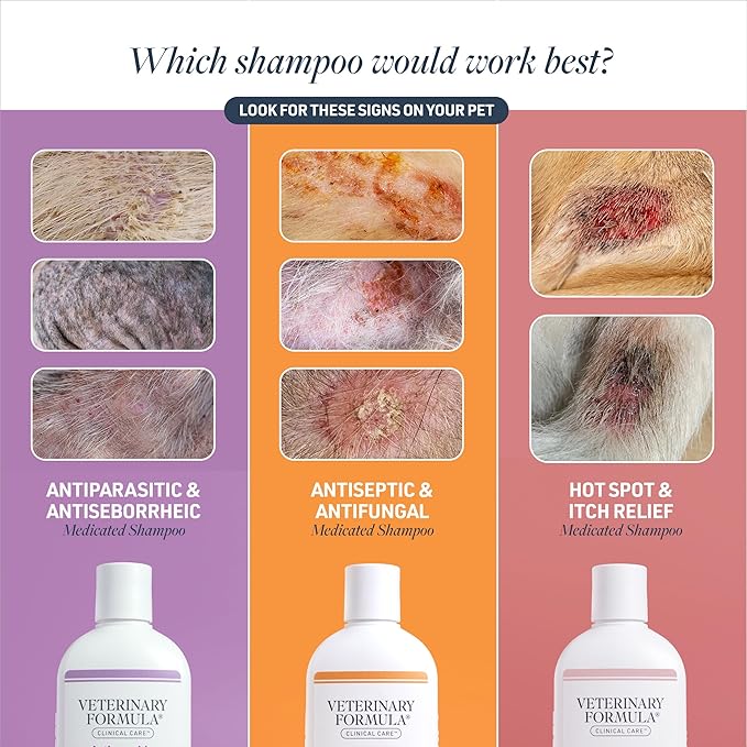 Veterinary Formula Clinical Care Antiseptic and Antifungal Medicated Shampoo for Dogs & Cats, 16 Fl Oz – Helps Alleviate Scaly, Greasy, red Skin – Paraben, Dye, Soap-Free (2 Pack) | Two 16 oz bottles for antiseptic and antifungal care of scaly, greasy ...