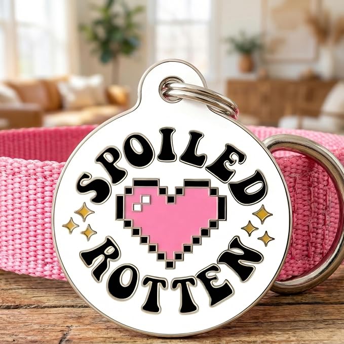 Bad Tags Personalized Dog and Cat ID Tags in 25+ Designs and 2 Sizes - 5 Lines of Custom Engraved Text - Funny Cute Personalized Pet Tags (Spoiled Rotten, Large (1.25 inch))