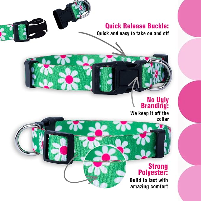 Native Pup Flower Dog Collar, Adjustable Small Medium Large, Cute Girl Female Summer Spring Pretty Designer Puppy Essentials Accessories, Pink Floral Blue Daisy Rose (Medium, Green Daisy)