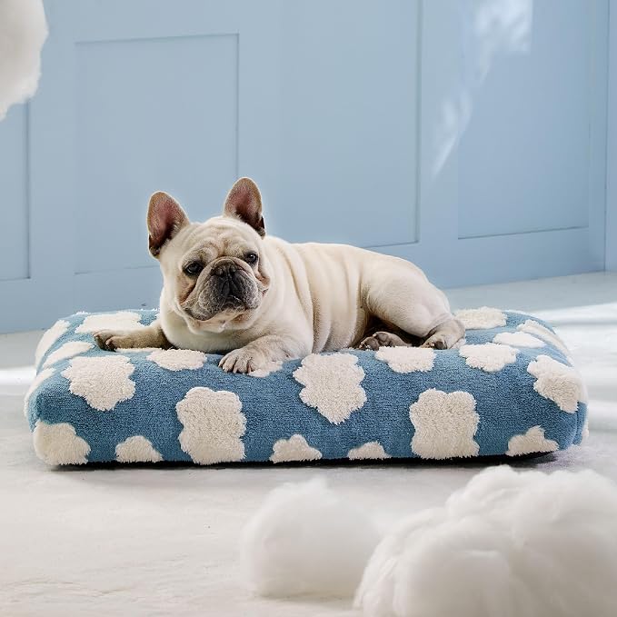 LE SURE Cute Dog Beds Medium Size Dog-Thick Shredded Chopped Foam Pet Bed as Gift for Indoor with Removable Washable Cover, Modern Fuzzy Plush & Anti Slip Bottom, Blue