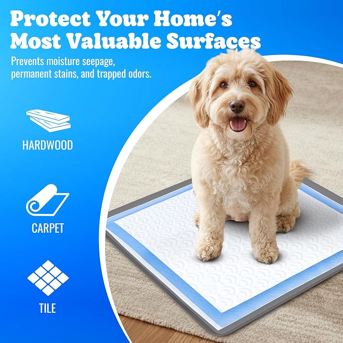 Skywin TidyFriend Dog Pee Pad Holder - Fits Up to 24” x 24” Pee Pad Holder for Dogs - Stable Grip, Soft Edges, Quick Wipe Silicone Surface Dog Pad Holder for Indoor Flooring Protection (Dark Grey)