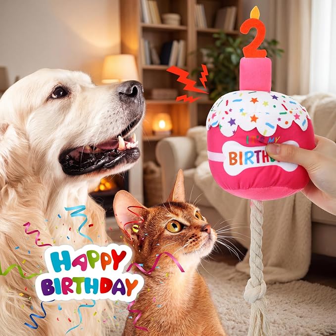 Dansydaisy Dog Birthday Cake Toy Squeaky Plush Toy for Girl Boy Gifts, Chew Accessories for Dog Birthday Party Decor Favor for Large, Medium and Small Dogs(2nd,Rose Pink)