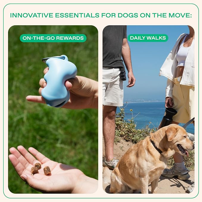Springland Silicone Dog Training Treat Pouch for Leash, Black | One-hand squeeze dispenser, food-grade silicone, BPA-free, carabiner included, easy-fill holder for rewards on the go