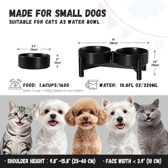 Raised Ceramic Dog Bowl Set - Elevated Double Dishes with Stainless Steel Stand - Food and Water Bowls for Small Dogs and Indoor Cats - Each Holds 1.6 Cups (10.8 fl oz) - Black