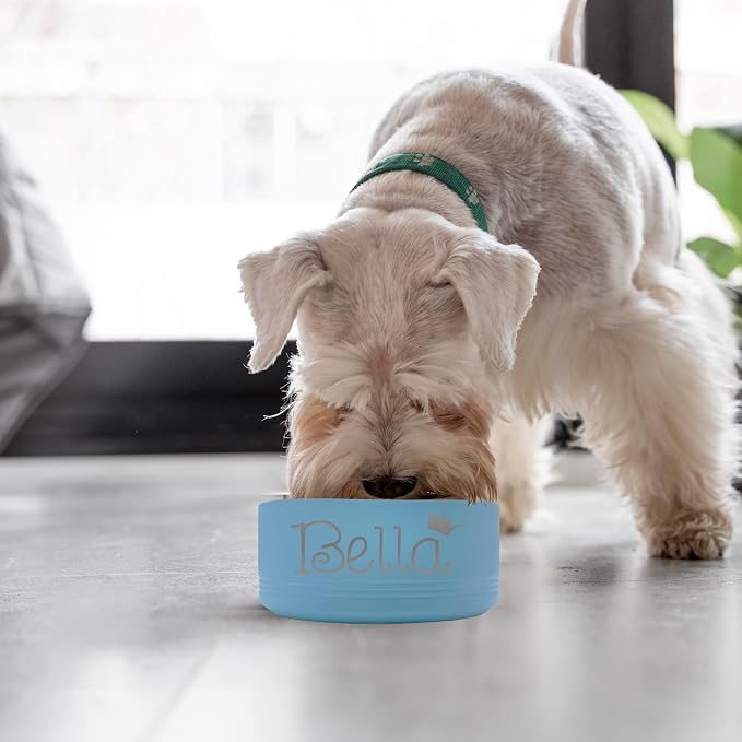 My Personal Memories Custom Personalized Stainless Steel Dog or Cat Bowl for Water and Food - Engraved Pet Bowl with Non Slip Bottom (Medium - 32 Ounces, Teal Blue)