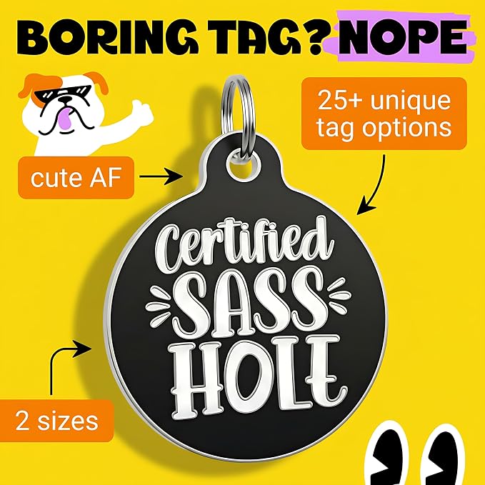 Bad Tags Personalized Dog and Cat ID Tags in 25+ Designs and 2 Sizes - 5 Lines of Custom Engraved Text - Funny Cute Personalized Pet Tags (Certified Sass Hole, Large (1.25 inch))