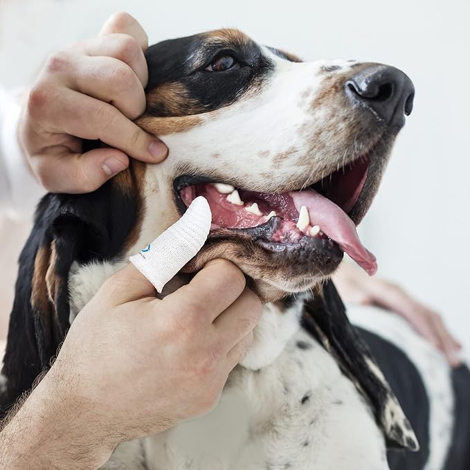 Pet Toothbrush for Small to Large Dogs Cats,Soft High Grade Finger Toothbrush,Teeth Oral Cleaning,Dental Care, 1 Set for Two Fingers White (6)