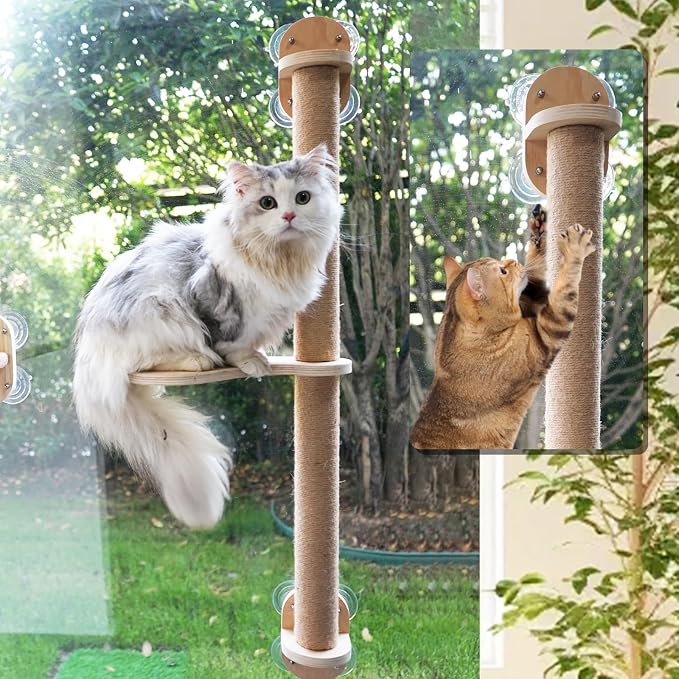38.5in Scratching Post with Window Shelf Set | Strong Suction Cups, Easy Install，for Climbing, Sunbathing, Napping & Overlooking