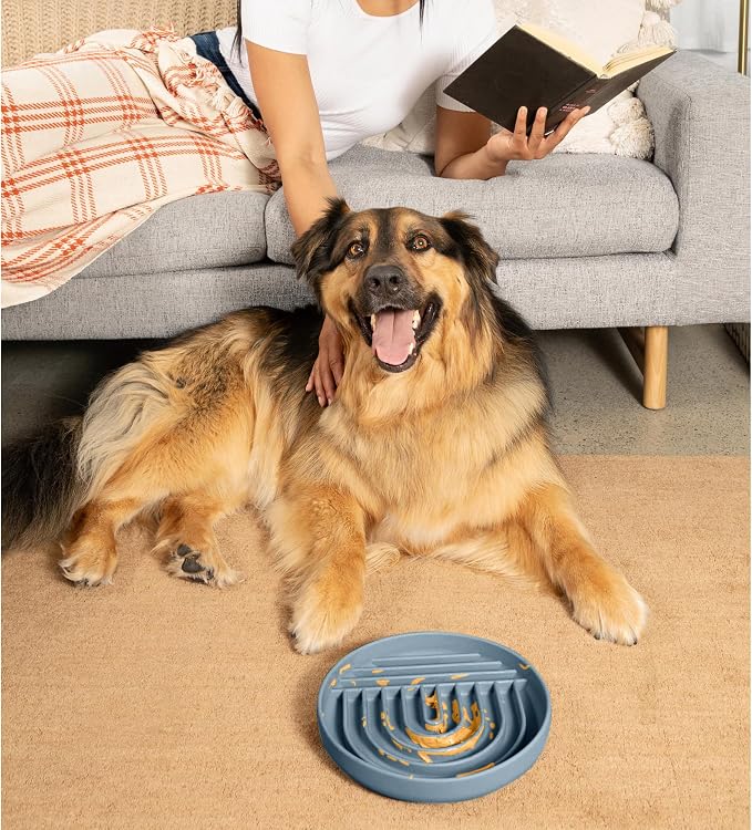 Should We Go? Slow Feeder Dog Bowls - Large Size Silicone Slow Eating Dog Bowl for Puppies & Dogs with Suction Cup -Dishwasher-Safe, Lick Mat Design, Reduces Gulping,for All Breeds,9.5”x1.5”- Ocean