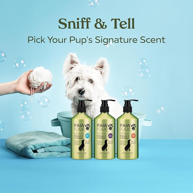 PAWFUME Dog Shampoo and Conditioner, Blue Ribbon, 4-Pack | Probiotic pH-balanced formula nourishes, detangles and deep cleans for silky coat, Puppy Shampoo and Conditioner