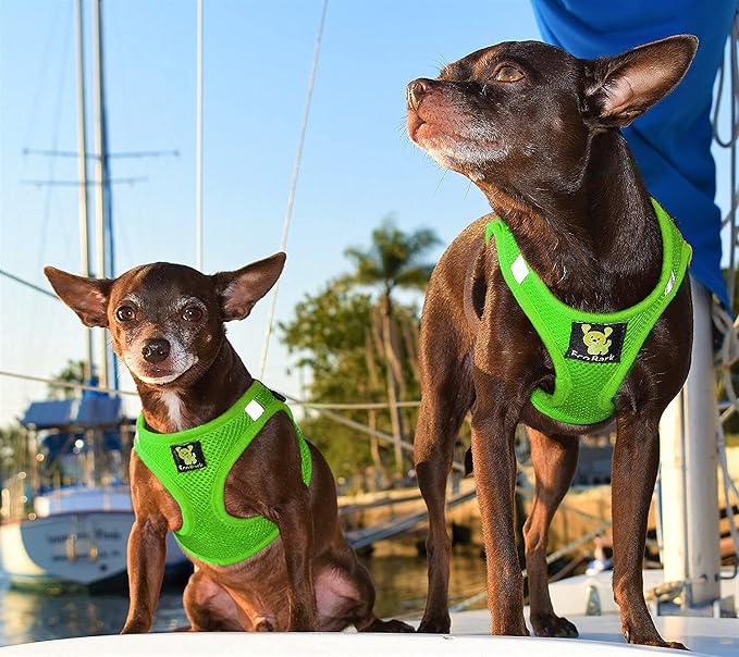 EcoBark Step in Dog Harness - Eco-Friendly Dog Harnesses for for Small & Medium Breed Dogs - Reflective and Adjustable Chest Body Halter Vest -Soft Luxurious Mesh (Green, XL)