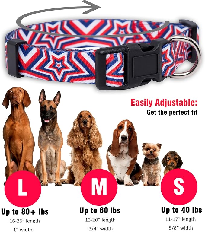Native Pup American Flag Dog Collar- Red White and Blue- Patriotic Collars for 4th of July, USA- Adjustable Small, Medium, Large Breed Dogs (Medium, Big Stars)