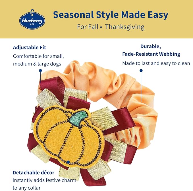 Blueberry Pet Thanksgiving Fall Charm Pumpkin Dog Collar Cover, Festive Accessory for Small to Large Dog Collars, Perfect for Dog Lovers & Family Photos, Puppy Collar Enthusiasts