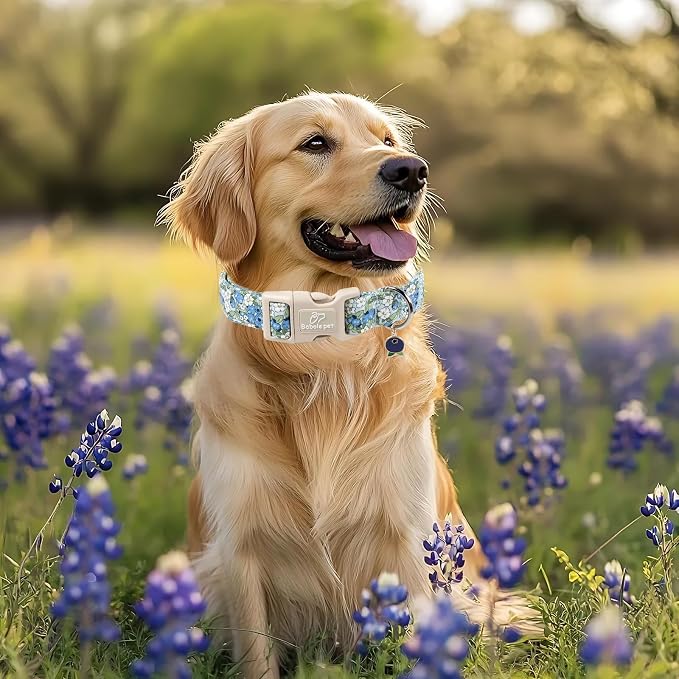 Blueberry Pattern Dog Collar, Cute Light Blue Spring Summer Puppy Collar - Soft Adjustable Designer Dog Collars for Small Medium Large Dogs L
