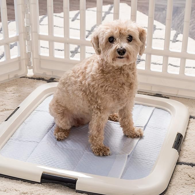 IRIS USA Pee Pad Holder for Dogs and Puppies, Potty Training Tray with Secured Latches, Non-Skid Feet, Leak Protection, Easy Clean Surface, Fits 22"x 22" Puppy Pads Size or Larger, Dark Gray