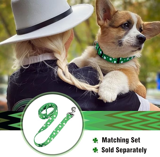 Native Pup St Patricks Dog Collar- Saint Patrick Green Shamrock Pet Collars- St. Patrick’s Lucky Irish- Cute Boy Girl Puppy Gift- Adjustable for Small, Medium, Large Breeds (Lucky Shamrock, Medium)